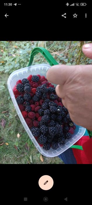Продам земельну ділянку зі старим будинком.