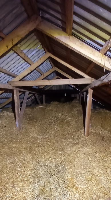 Słoma/Oddam za darmo/Radachówka