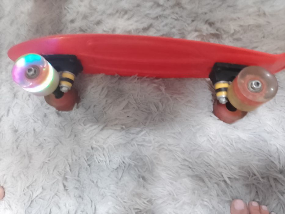 Пеніборт червоний