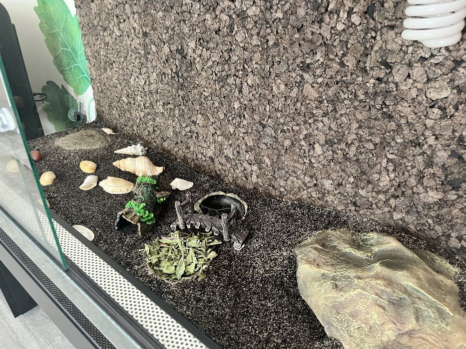 Terrarium - cały komplet
