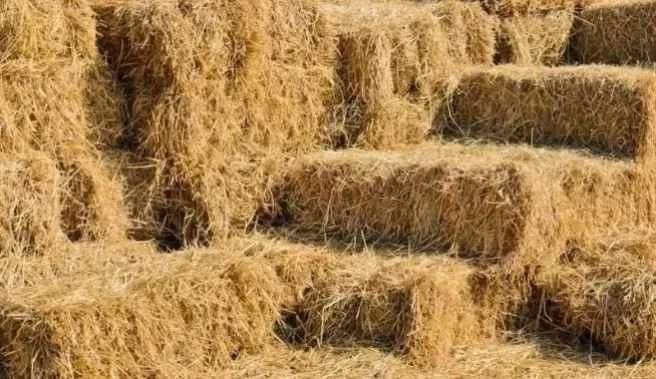 variada gama de fardos para alimentacao animal e lenha variada