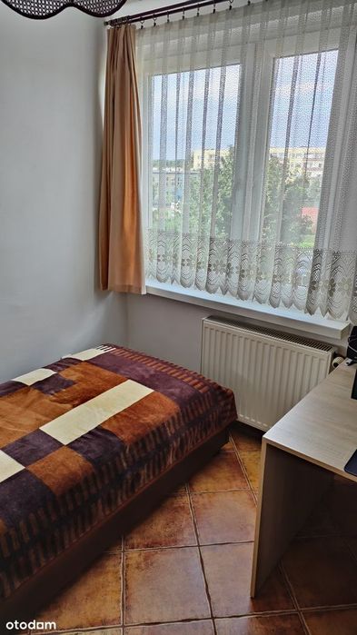 Zdjęcie 7