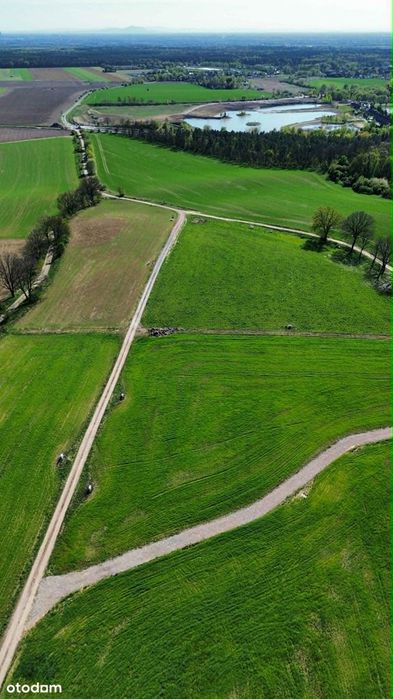 Widokowa działka budowlana 1200 m² z mediami - NOWA CENA! - Widok 4