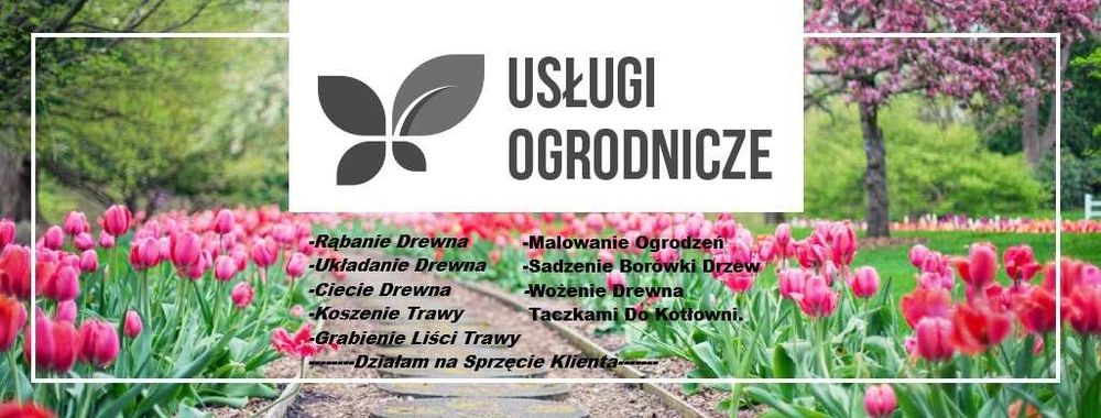 Rąbanie Drewna Siekierą