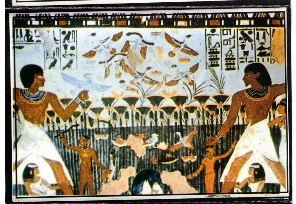 Postais de: Egito, Geres, Museu Calouste Gulbenkian, Aveiro, Pássaros