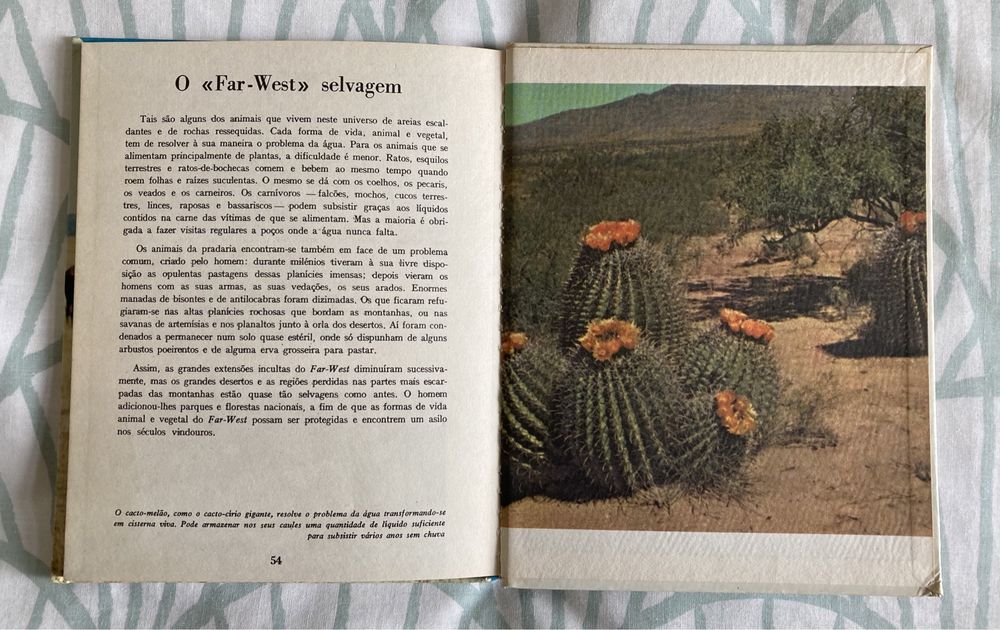 Livro Animais do Far-West (Vintage, Anos 60)