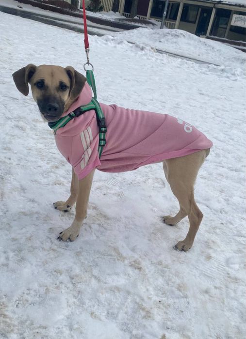 дівчинка 5 міс вакцинована