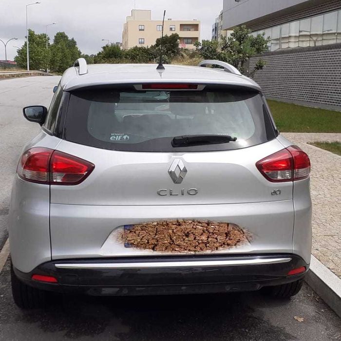 Renault Clio Break — fotografia 3