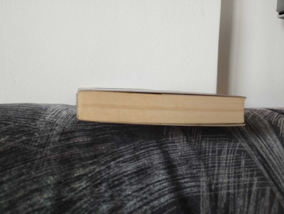 Declaração Universal dos Direitos do Ser Humano de Raoul Vaneigem