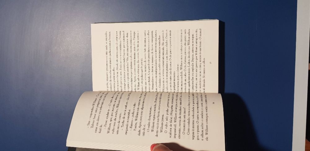 Livro Willian Wenton e o Cripto-Portal