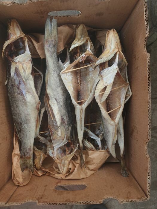 Чехонь крупна з ікрою.малосольна жирна Тарань