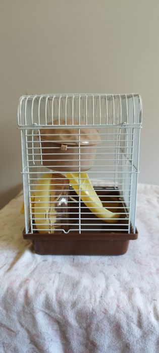 Gaiola para Hamster / Roedores Completa e Equipada (22x25x16) – Barata!