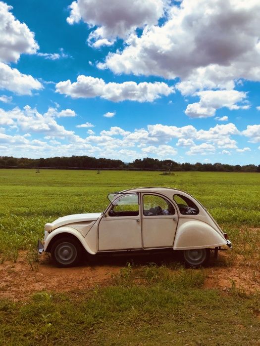 Carro Clássico Casamento - Citroen 2cv - Eventos