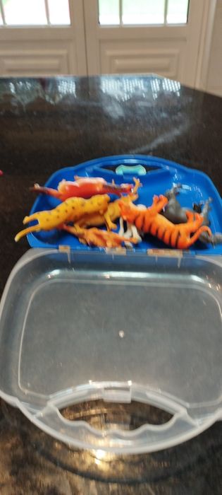 Malinha com vários animais