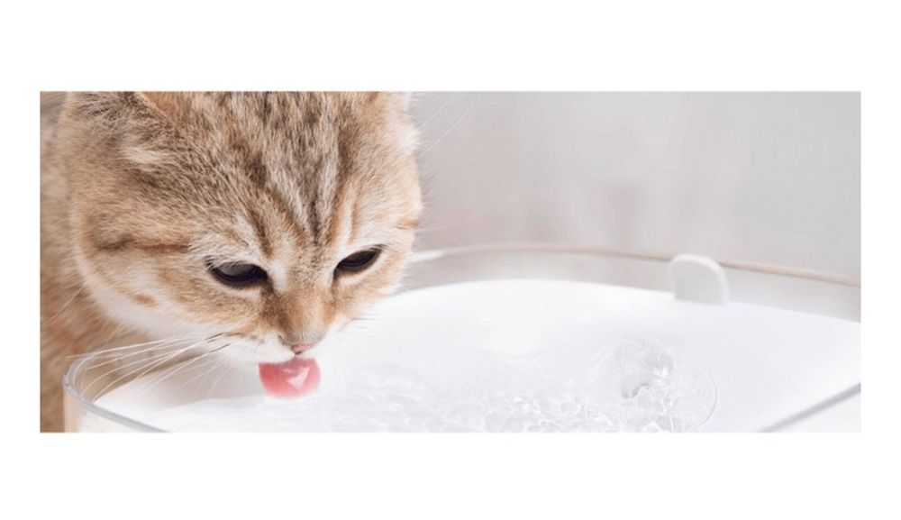 Xiaomi Smart Pet Fountain – Fonte de Água Inteligente 2L