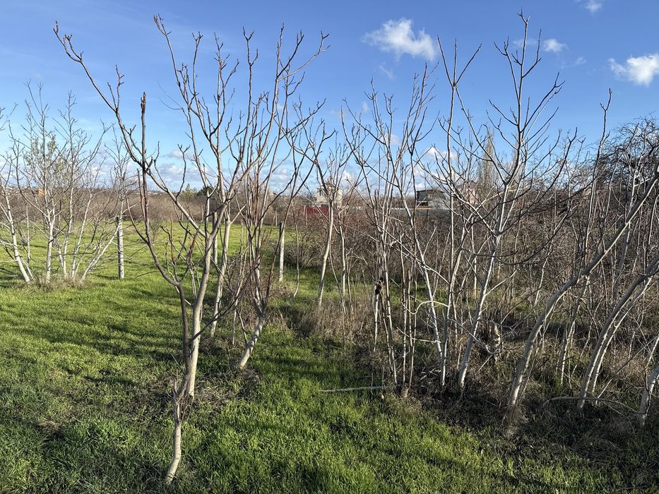 Земельна ділянка село Мішково-Погорілове