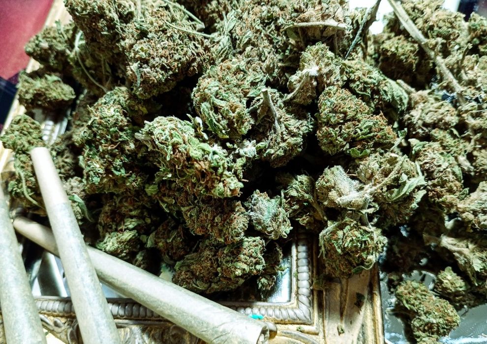 3g ROYAL SKYWALKER Susz Roślinny cbt cbl cbc Lot w kosmos! Działa !