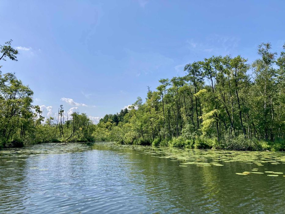 Domek nad jeziorem
