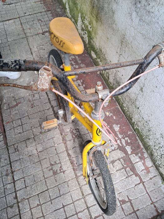 Bicicleta roda 10