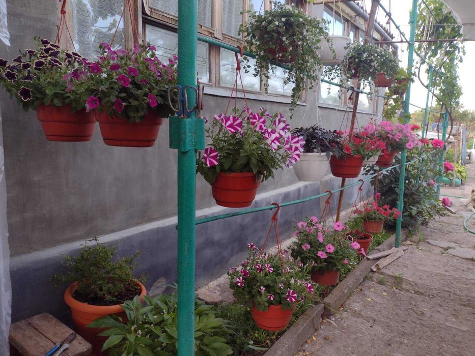 Продам отличный  дом  в с. Буялык