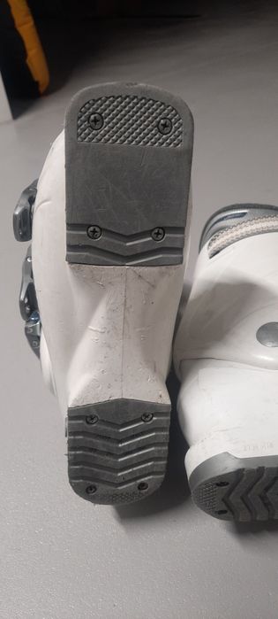 Buty narciarskie Dalbello Aspire 50