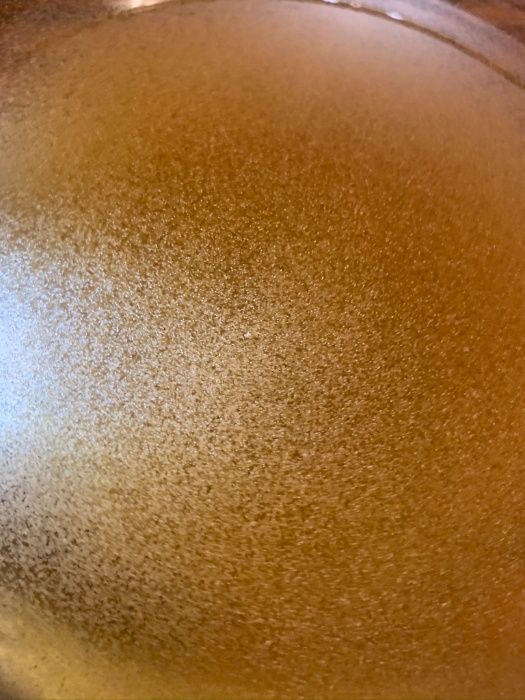 ARTEMIA - jaja, solowiec do wylęgu, jakość 98% wylęgu