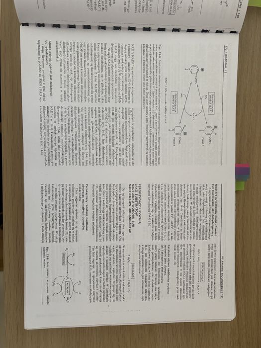 Biochemia Harpera wydanie 5