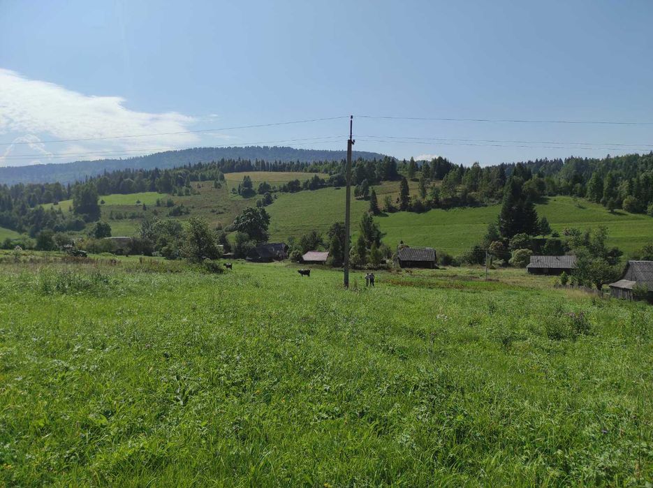 Земельна ділянка під забудову у Карпатах (с.Мита Львівська обл.)