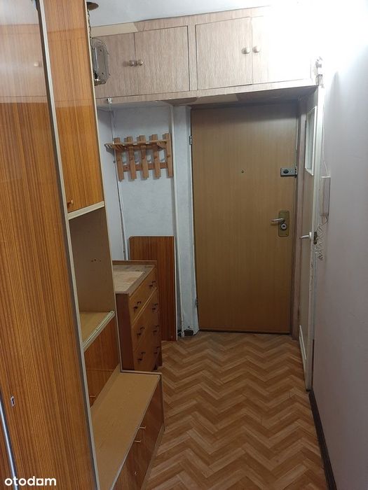 Sprzedam udział 1/2 w lokalu M3 Teofilów Rojna