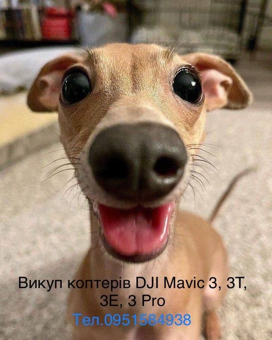 Терміновий викуп скупка дронів DJI Mavic 3