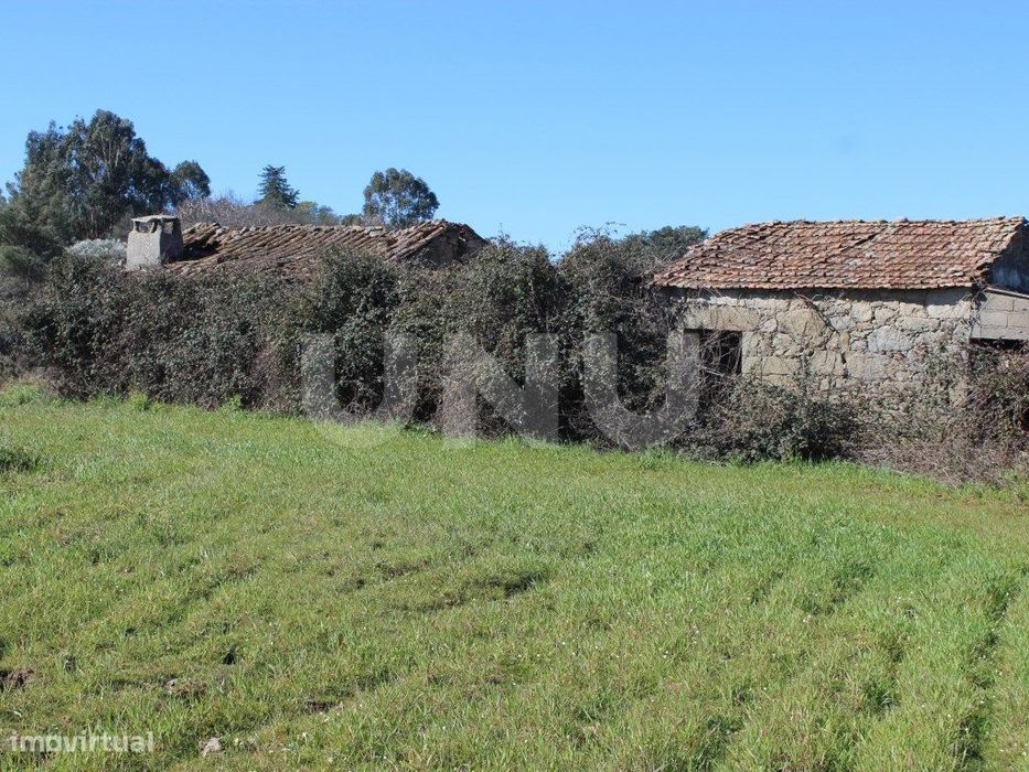 Quinta para Venda em Aldeia do Bispo, Penamacor — Aldeia Do Bispo, Águas E Aldeia De João Pires, Castelo Branco