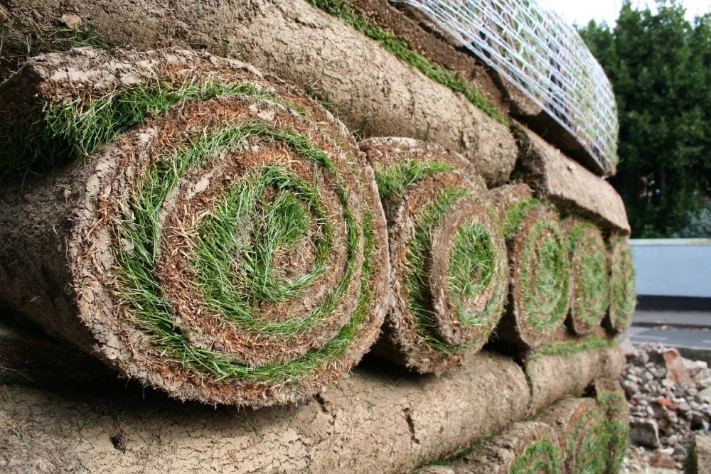 Trawa z rolki pół-paleta 10m2 możliwa wysyłka! Zapraszamy!