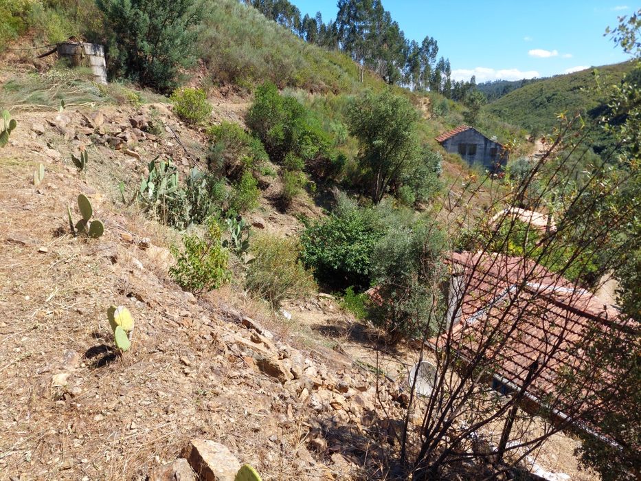 Rocagem de terrenos