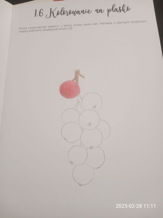 Podręcznik + ćwiczenia do nauki kolorowania kredkami Sami AntlerArt