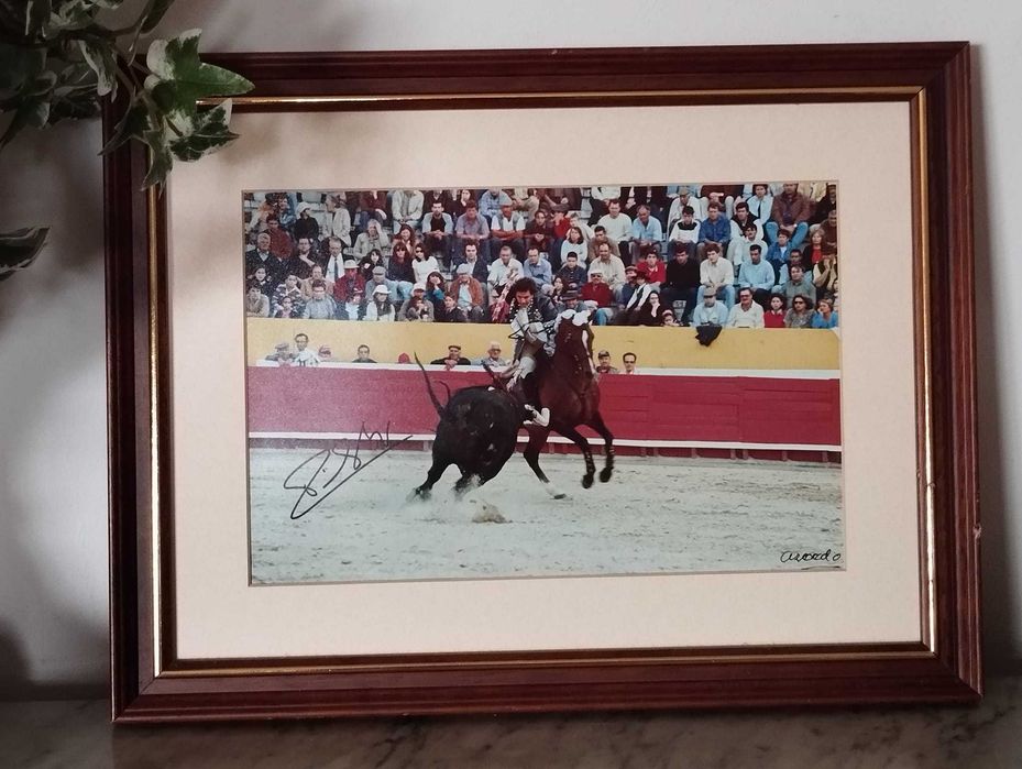 Quadros Tourada Autografados64551777355523124