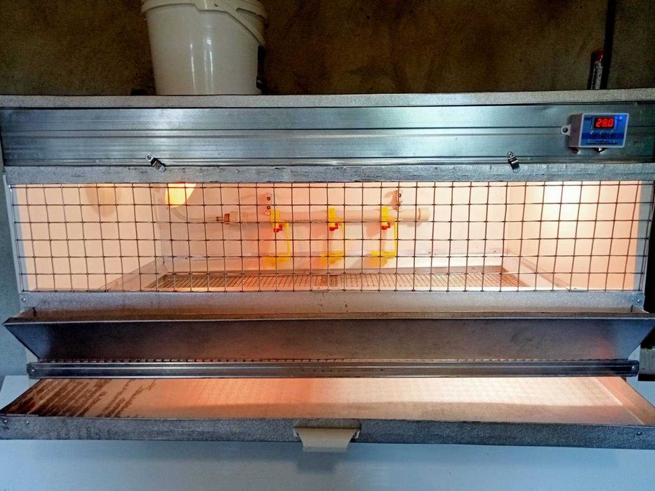 Брудер для птиц автоматический "Профи" длиною 1 м и 1,2 м