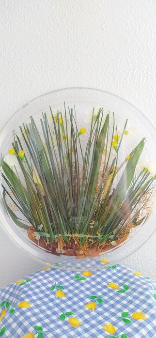 Acrylic Tray / Serving Board423753903243929601