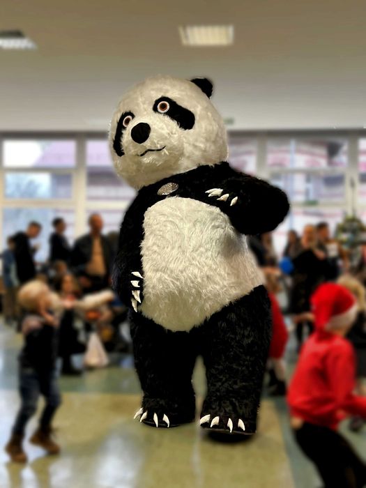 Atrakcja na imprezę Maskotka Ogromny Miś Panda Animator