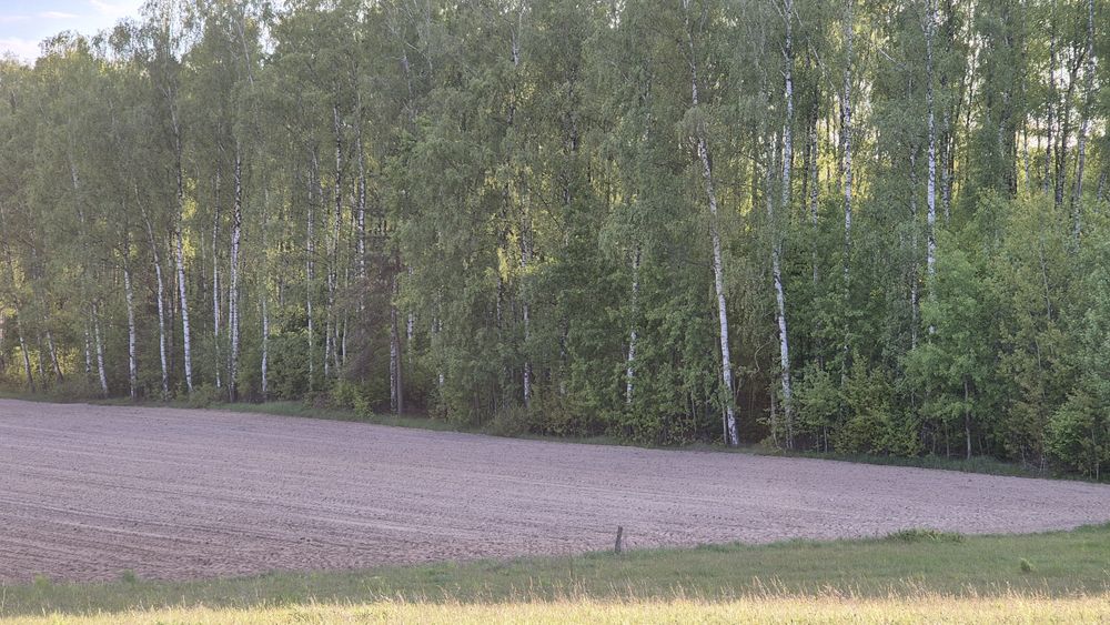 Sprzedam działkę rolno-leśną