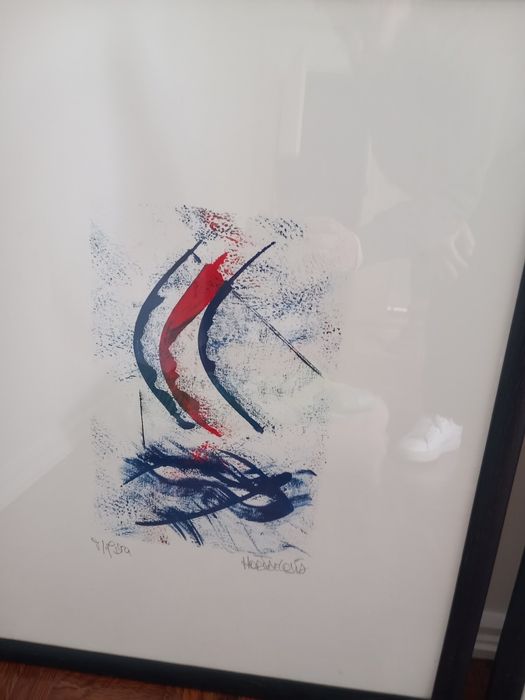 Quadro - tecni a mista- horta e costa.