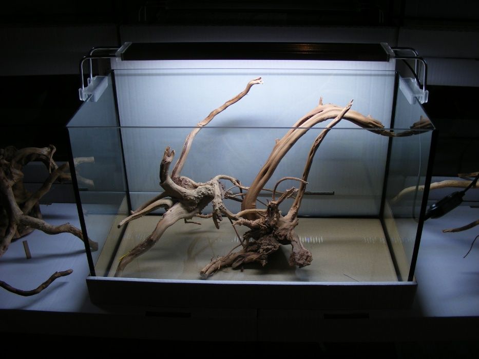 GB akwarium 50x30x30 (43l) diversa