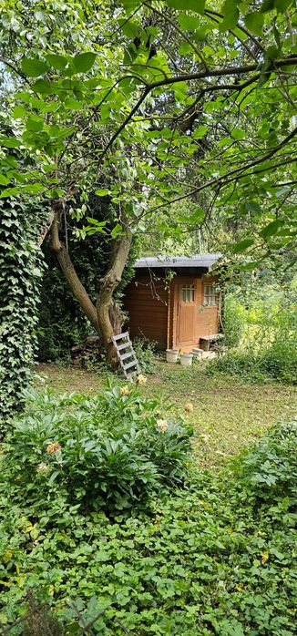 Odstąpię prawo do 500 m² działki w ROD "Bora Komorowskiego" - Widok 2