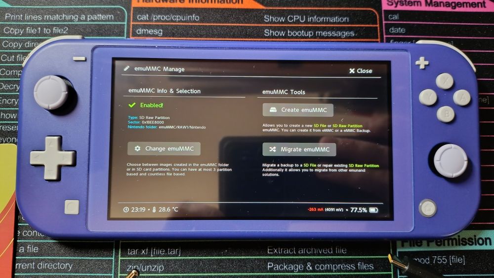 Nintendo Switch lite 256gb kefir