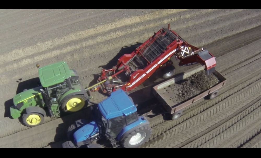 Odkamienianianie Zbieranie kamieni Zbiór kamienia odkamienianie pola
