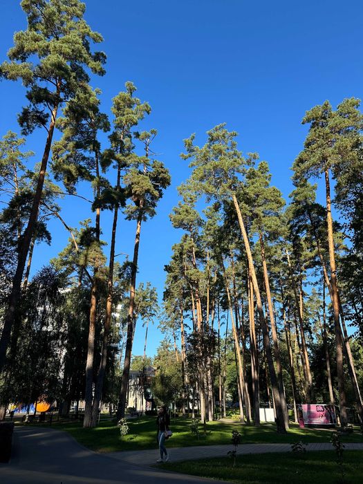 Центральний парк! Оренда приміщення з ремонтом!Локація!Житлові тарифи