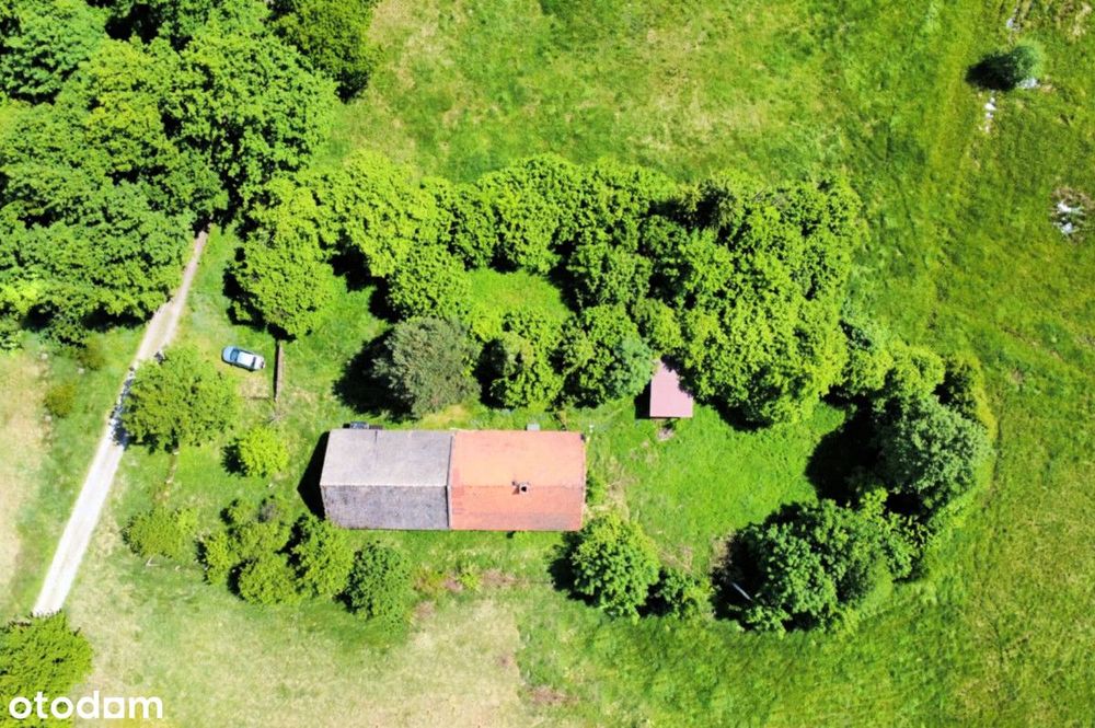 Siedlisko, była leśniczówka Lasów Państwowych bez sąsiedztwa, 2007 m2