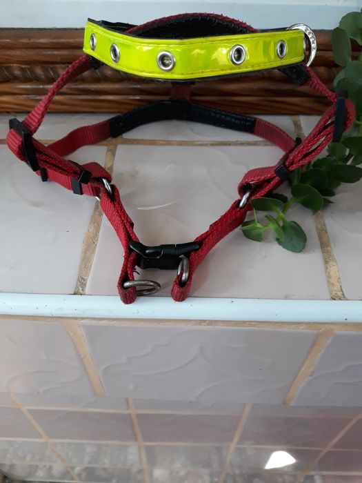 Светящийся флуорисцентный LED ошейник 46 см шлейка для собак