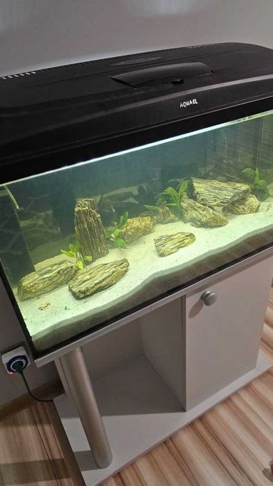 Akwarium Aqael 110L wraz z Szawką