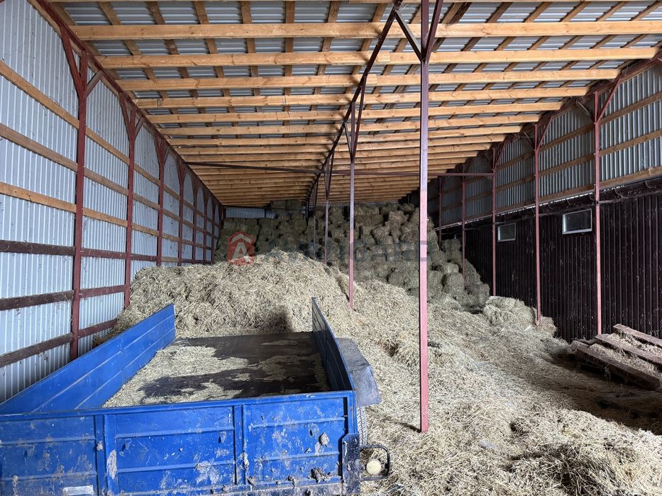 Продажа кінний двір Новоолександрівка комерція