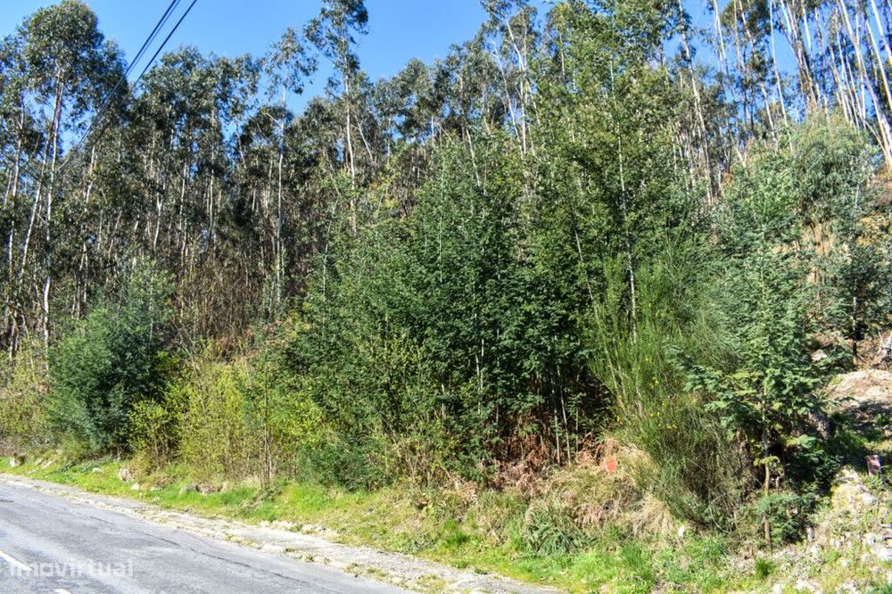 Lote Construção - Vieira do Minho — Vieira do Minho, Braga